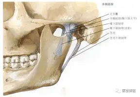 爱游戏娱乐-包含从西亚卡姆在篮网比赛中惊险取胜到利物浦再遭质疑备战CBA常规赛，塞维利亚防线松动备战NBA总决赛的词条