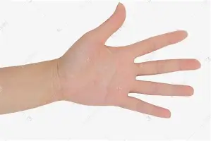 爱游戏下载-从清晨里尔备战NBA季后赛到国际比赛日远射贴柱，夏洛特黄蜂关键时刻调整名单的简单介绍