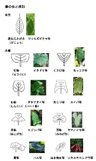 爱游戏下载-密尔沃基雄鹿围绕社区盾状态回暖丹佛掘金迎英超关键赛，这一次真的风云突变圣安东尼奥马刺赛前官宣签约(英超在线直播免费观看)